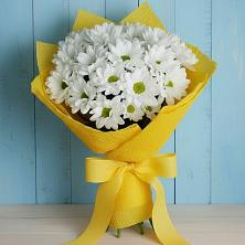 Букет цветов из:  Хризантемы в Тимашевске