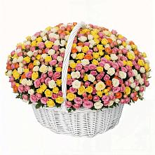 Премиум букет из: Розы в Тимашевске