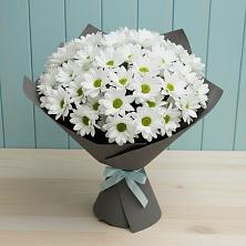 Букет цветов из:  Хризантемы в Тимашевске