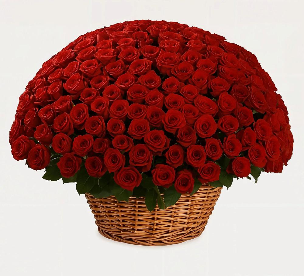 Премиум букет из: Розы в Тимашевске