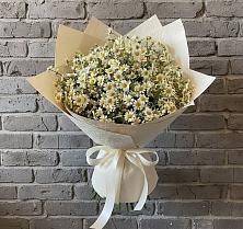 Букет цветов из:  Ромашки #REPLACE_PRED# Тимашевске