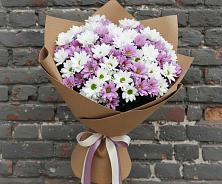 Букет цветов из:  Хризантемы в Тимашевске