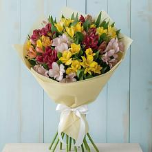 Букет цветов из:  Альстромерии в Тимашевске
