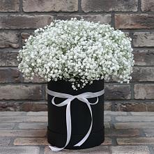 Цветочная композиция из Гипсофила в шляпной коробке в Тимашевске