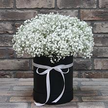 Цветочная композиция из Гипсофила в шляпной коробке в Тимашевске