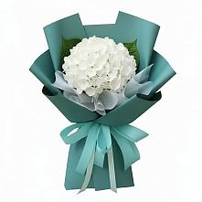 Букет цветов из:  Гортензия в Тимашевске